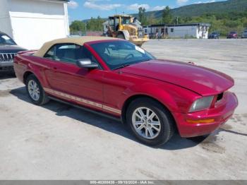  Salvage Ford Mustang