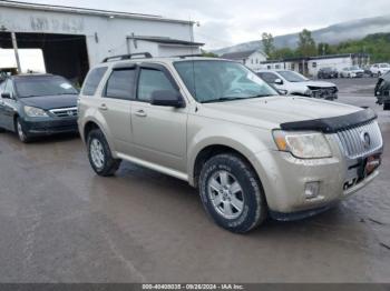  Salvage Mercury Mariner