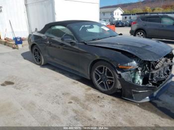  Salvage Ford Mustang