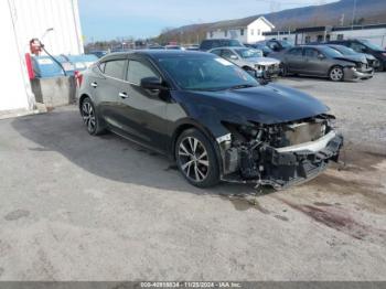  Salvage Nissan Maxima