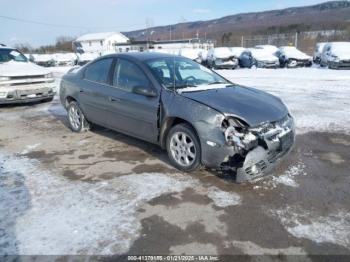  Salvage Dodge Neon