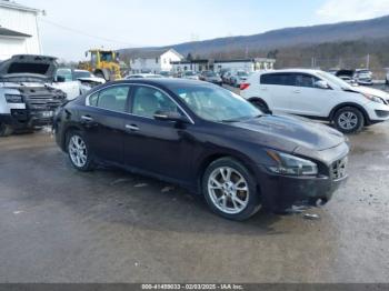  Salvage Nissan Maxima