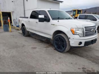  Salvage Ford F-150