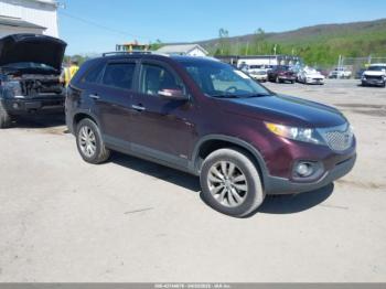  Salvage Kia Sorento