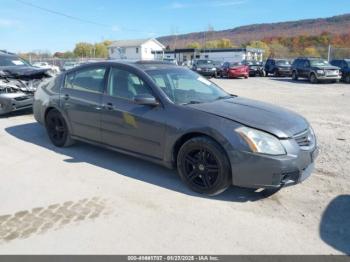  Salvage Nissan Maxima