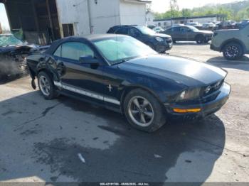  Salvage Ford Mustang