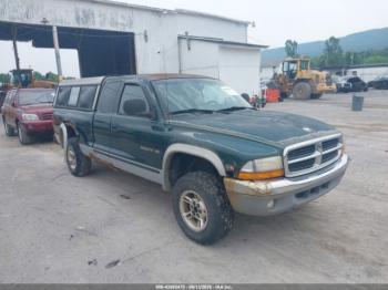  Salvage Dodge Dakota