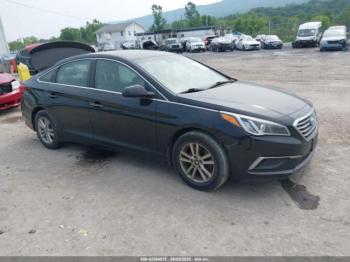 Salvage Hyundai SONATA