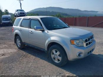  Salvage Ford Escape