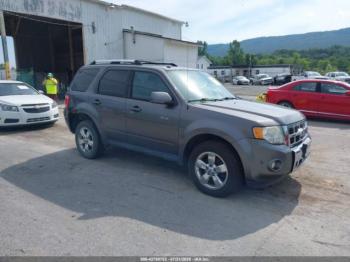  Salvage Ford Escape
