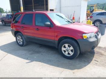 Salvage Ford Escape