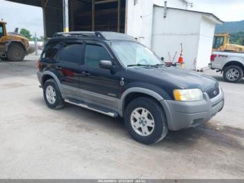  Salvage Ford Escape