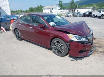 Salvage Honda Accord