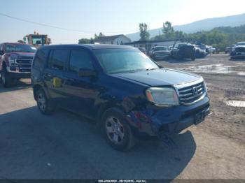  Salvage Honda Pilot