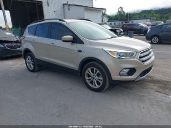  Salvage Ford Escape