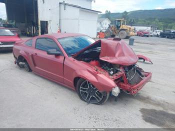  Salvage Ford Mustang
