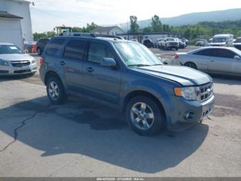  Salvage Ford Escape