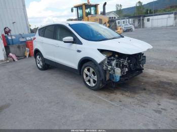  Salvage Ford Escape
