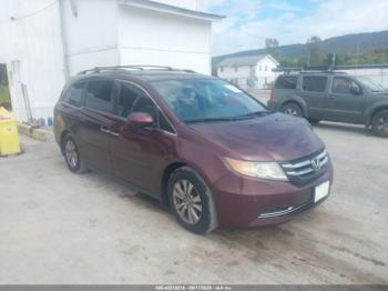  Salvage Honda Odyssey