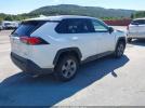 Toyota RAV4 Xle Image 6