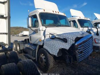  Salvage Freightliner Cascadia 113