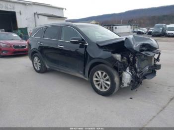  Salvage Kia Sorento