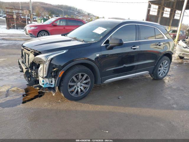 Cadillac XT4 Fwd Premium Luxury Image 11