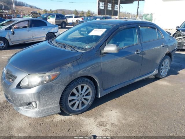 Toyota Corolla S Image 6