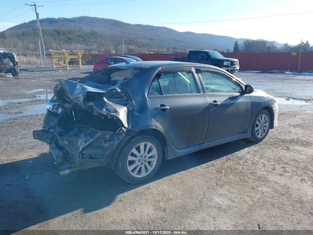 Toyota Corolla S Image 2