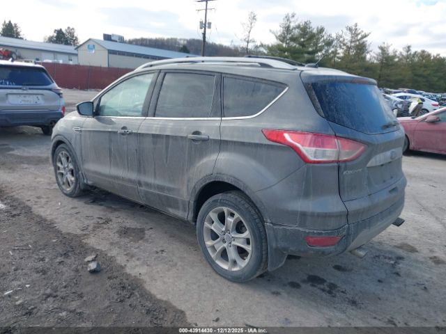 Ford Escape Titanium Image 5