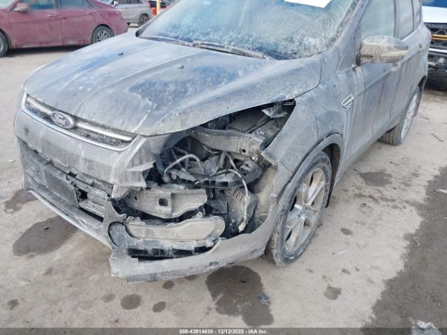 Ford Escape Titanium Image 4