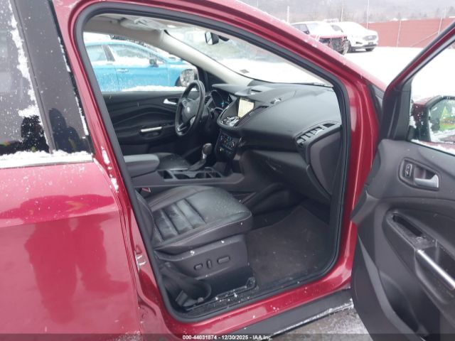 Ford Escape Titanium Image 5