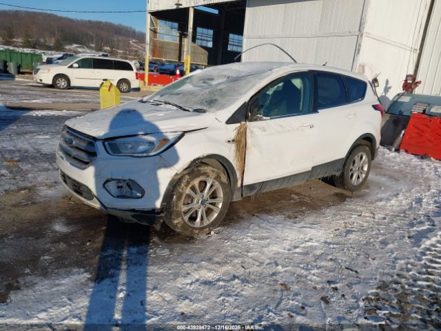 Ford Escape Se Image 5