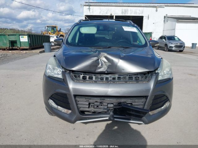 Ford Escape Titanium Image 3