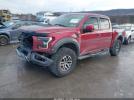 Ford F-150 Raptor Image 3