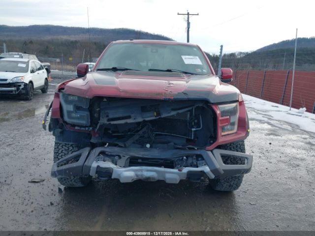 Ford F-150 Raptor Image 2